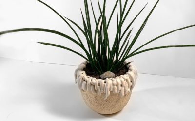 Neuer Ton – neue Möglichkeiten